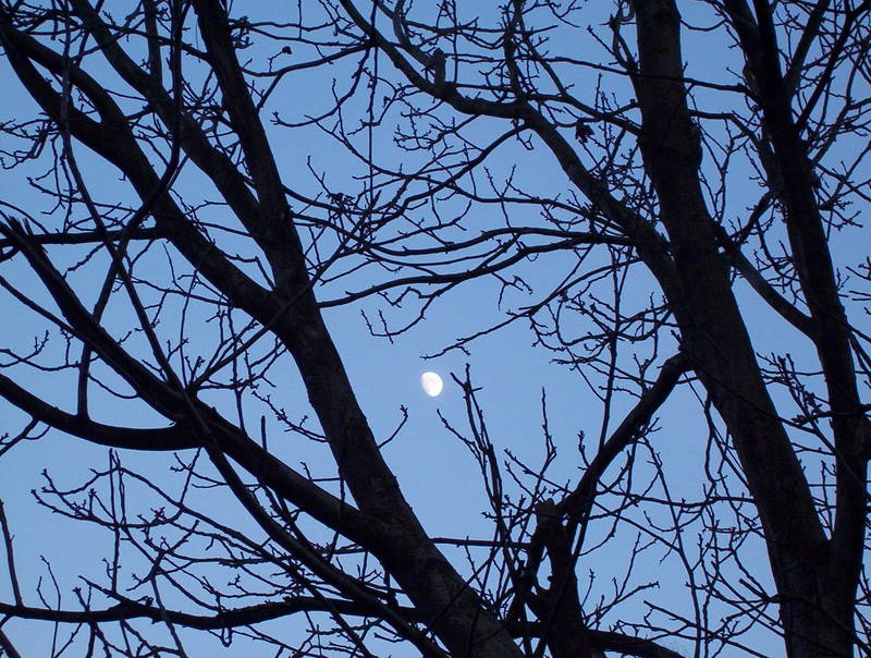 moon on the blue