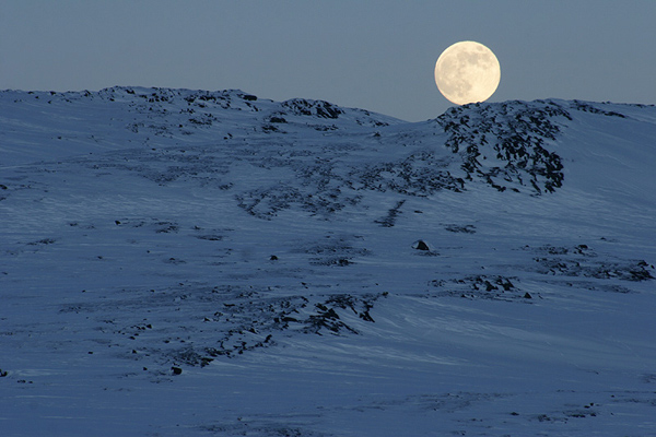 Moon over arctic landscape