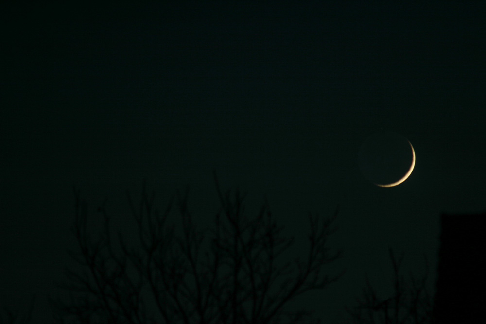 Moon over Bourbon Street