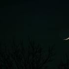 Moon over Bourbon Street