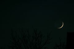 Moon over Bourbon Street