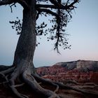 Moon over Bryce Canyon