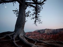 Moon over Bryce Canyon