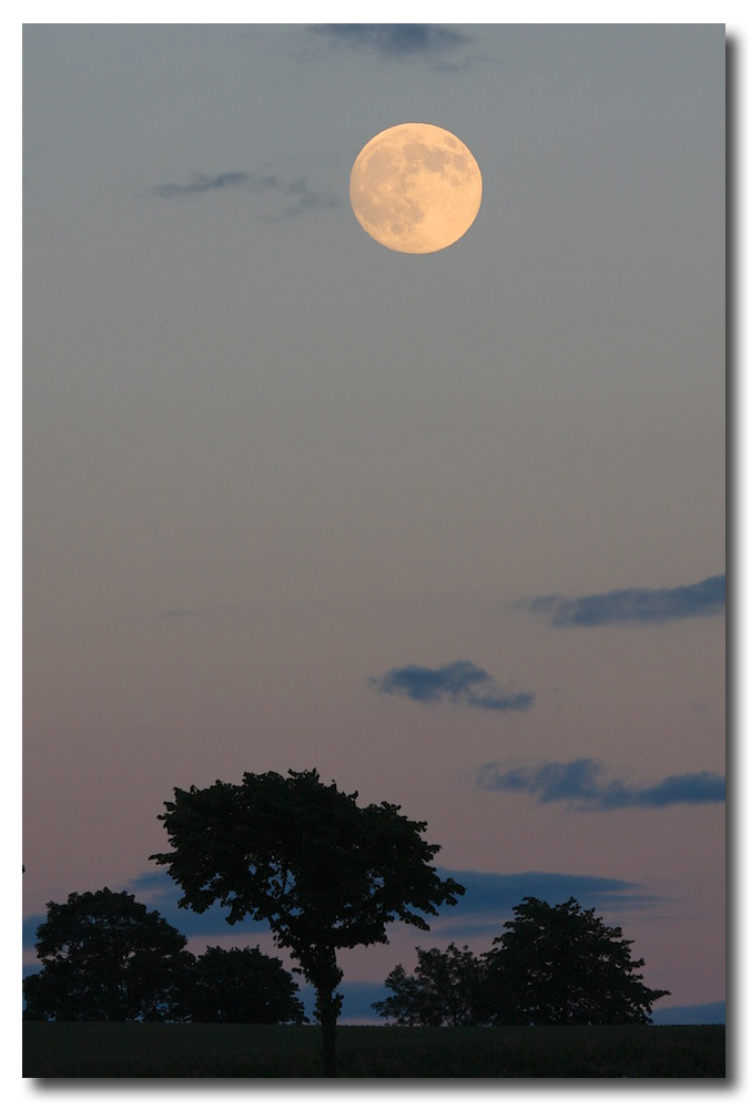 Moon over Elmstreet