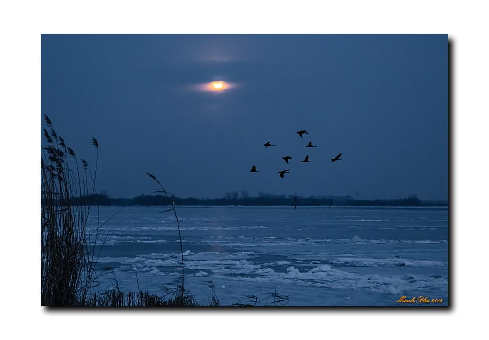 Moon over Lake Trebel