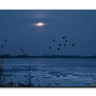 Moon over Lake Trebel