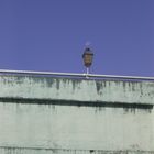 Moon over London bridge (ist aber in Frankreich,nur der Titel passt so schön=