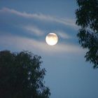 Moon Over Plett