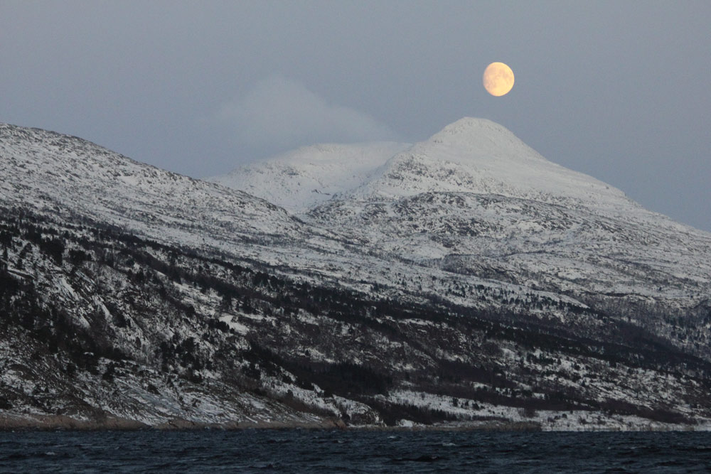 Moon Over Tysfjord. Norway. January 2012