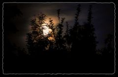 "Moon Rise"