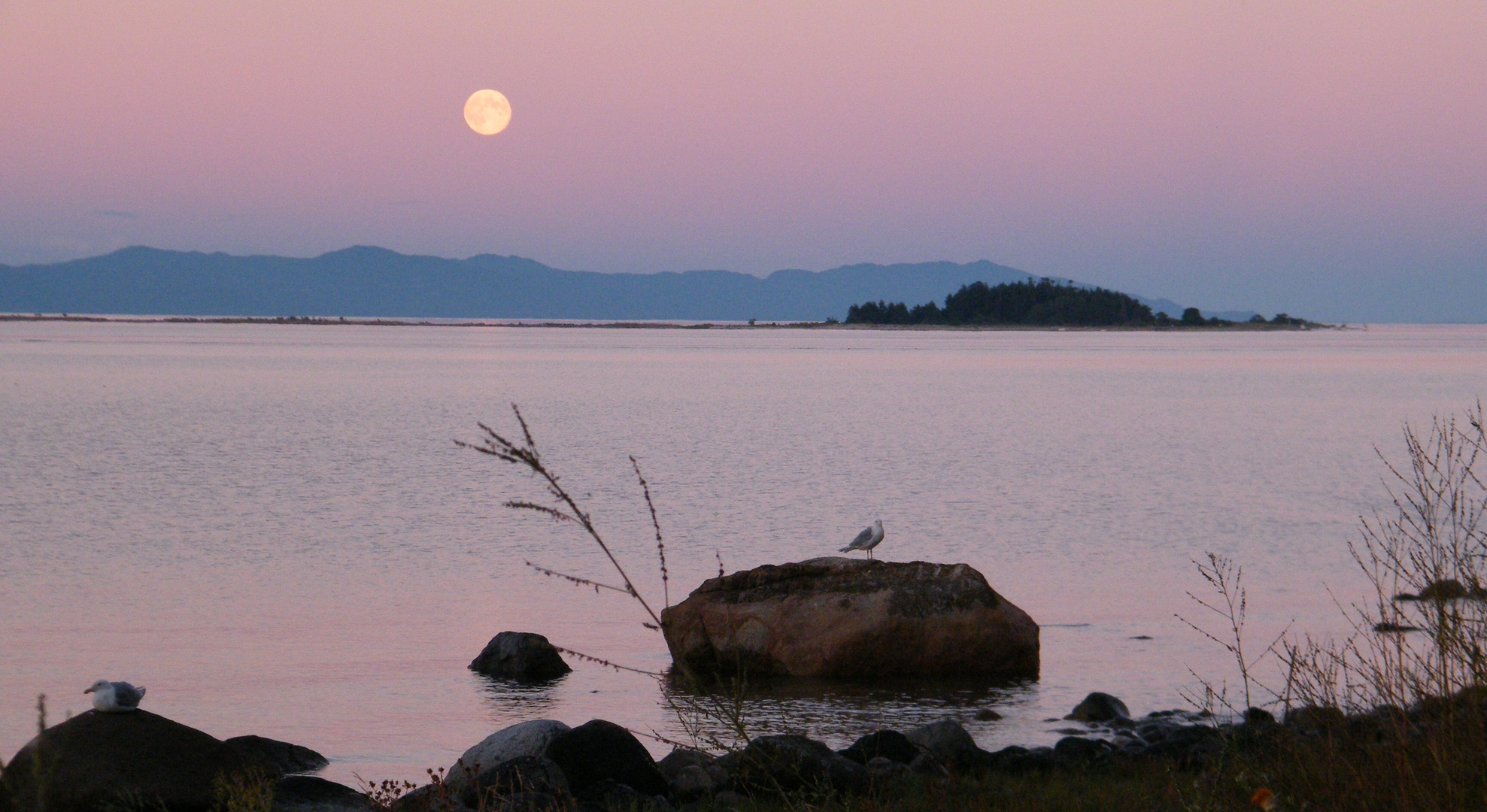 Moon Rise