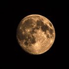 Moon Sepia