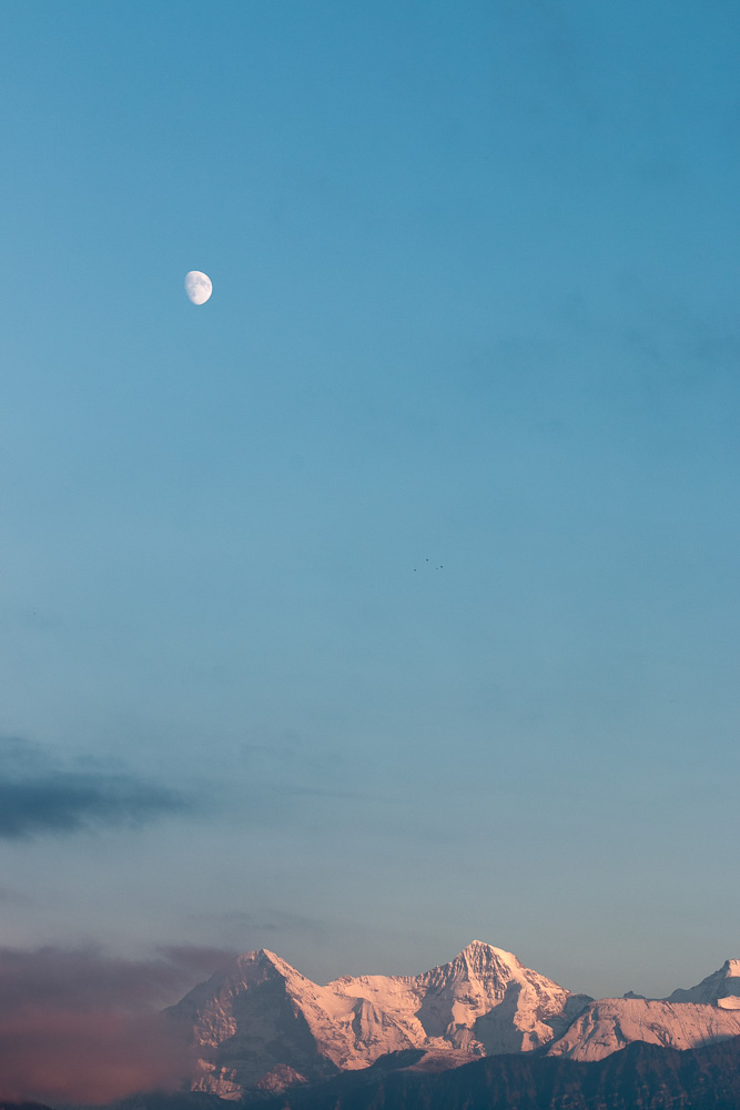 Moon über Eiger und Mönch..