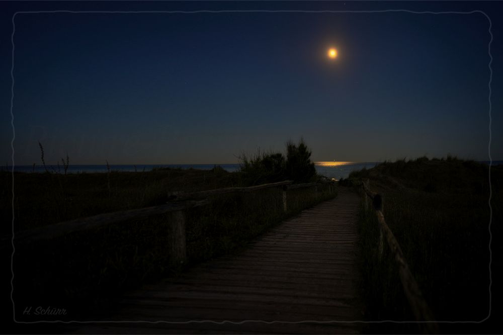 "Moon Way"