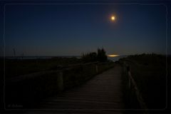 "Moon Way"