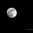 moon***1