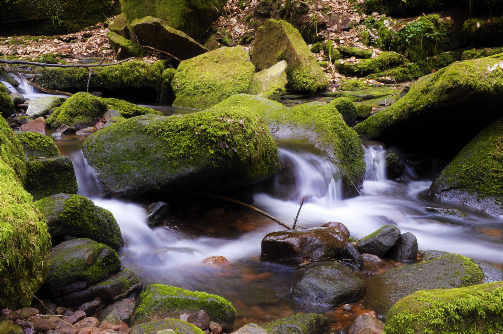 Moonbachschlucht