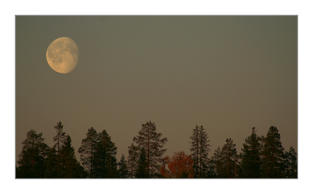 Moon_in_Lapland