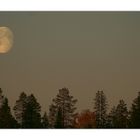 Moon_in_Lapland