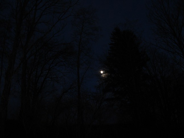 ... moonlight ...