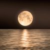moonlight-