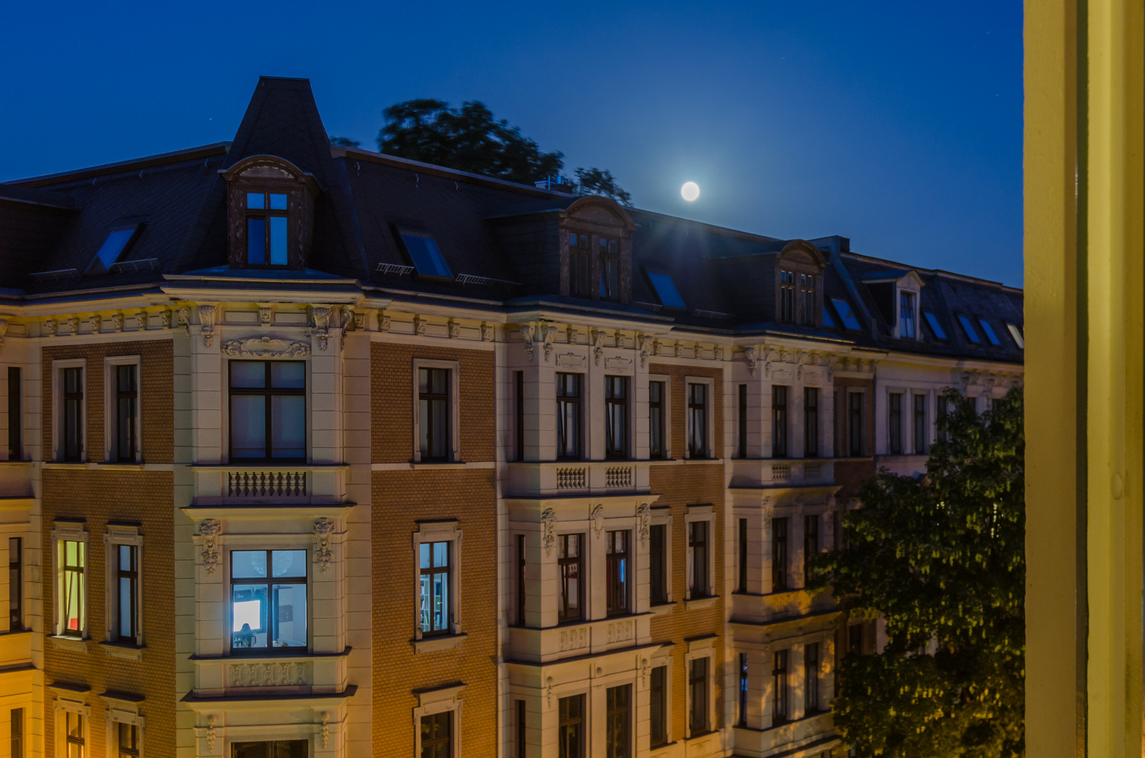 moonlight