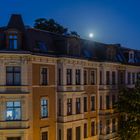moonlight
