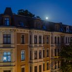 moonlight