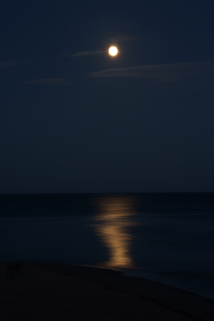 Moonlight at Tenby