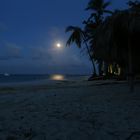 Moonlight at the Beach