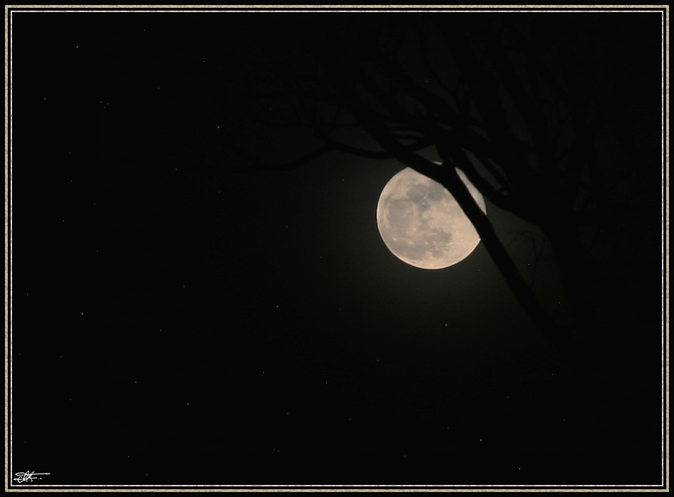 Moonlight... [die 2.]