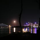 Moonlight Fishing in Sydney