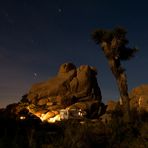 Moonlight in Joshua Tree