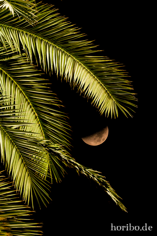 Moonlight on Cyprus