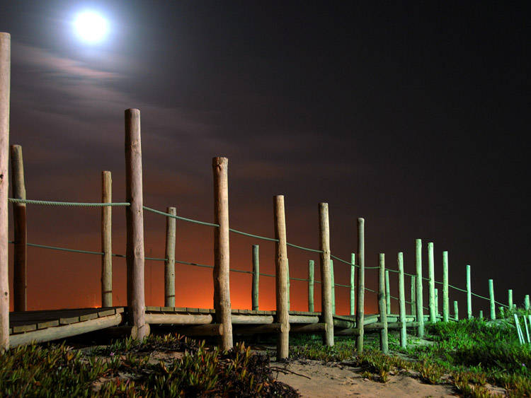 Moonlight on the beach