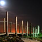 Moonlight on the beach