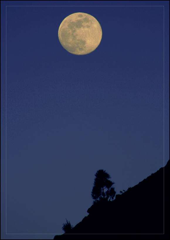 ~ Moonlight over La Palma ~