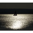 Moonlight - Sailing