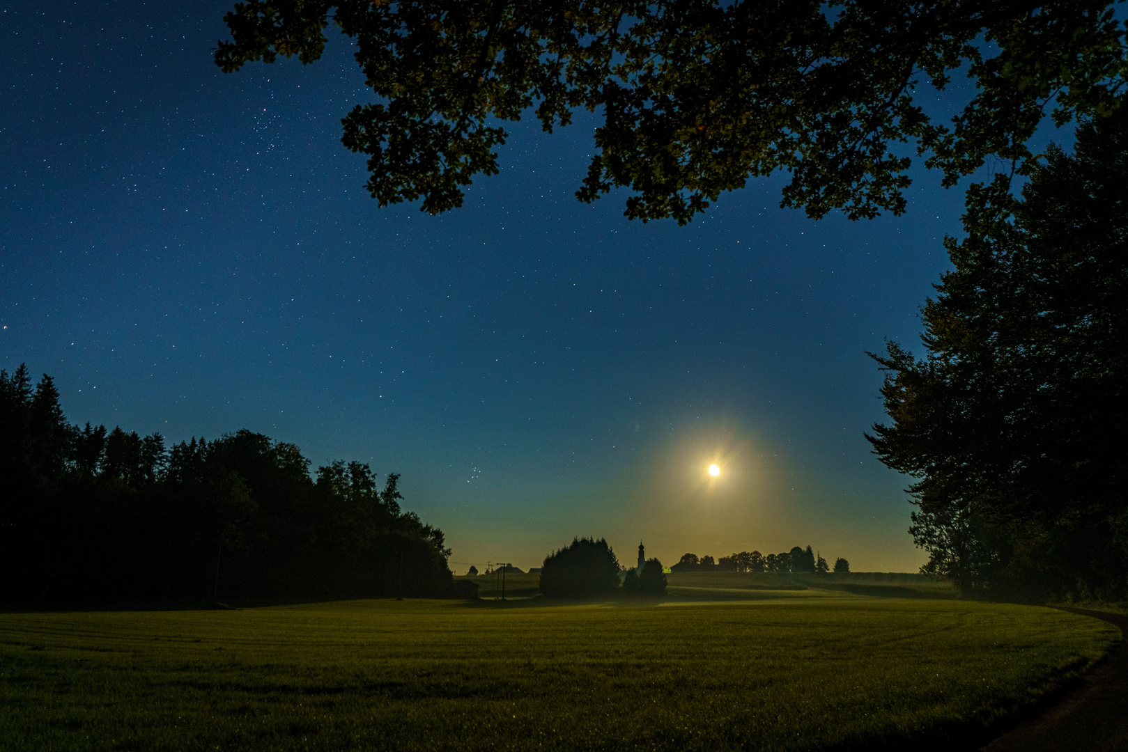 Moonlight Serenade
