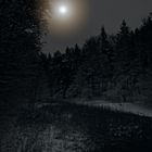 moonlight shadow