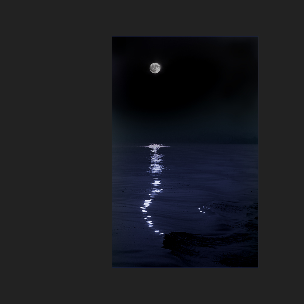 Moonlight Shadow Moonlight Shadow