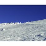 moonlight skiing :)