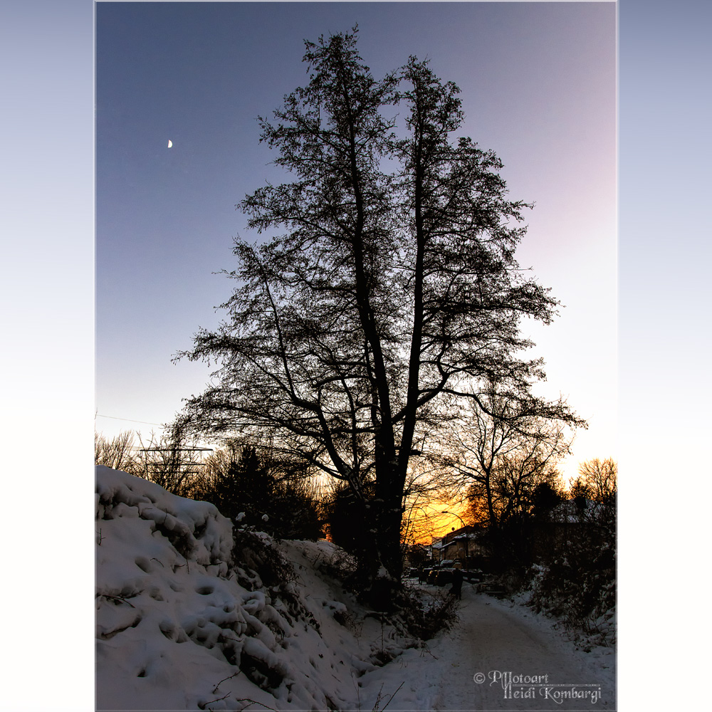 MOONLIGHT & SUNSET