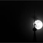 moonlightshadow ... - earthview #4