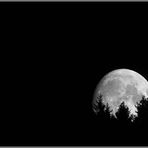 moonlightshadow ... - earthview #7