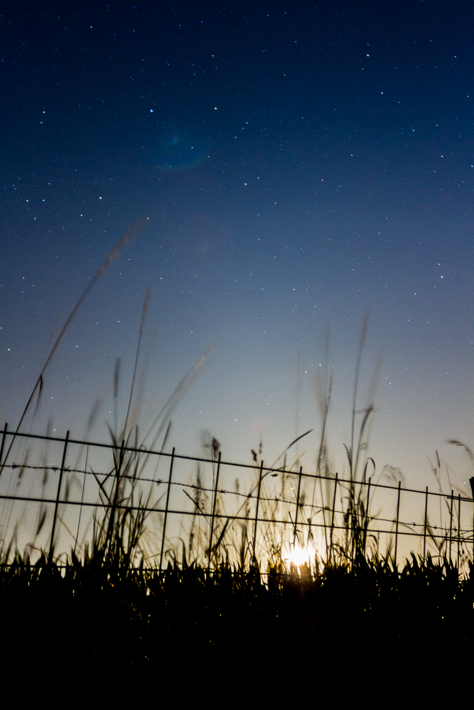 Moonrise