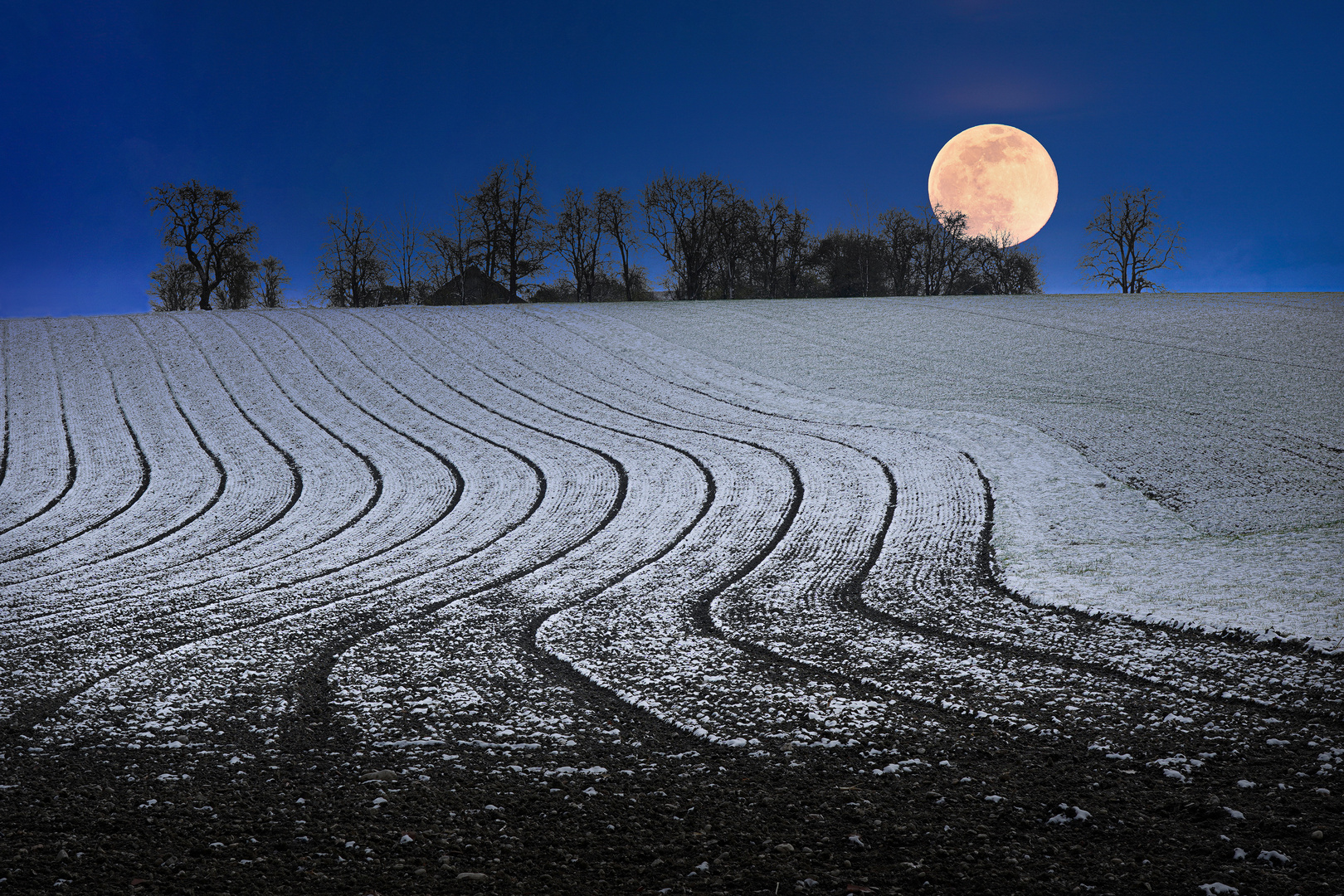 moonrise