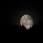 Moonrise at Bavarian Forest