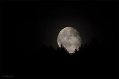 Moonrise at Bavarian Forest