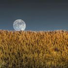 Moonrise during sunset